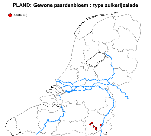 suikerijsalade